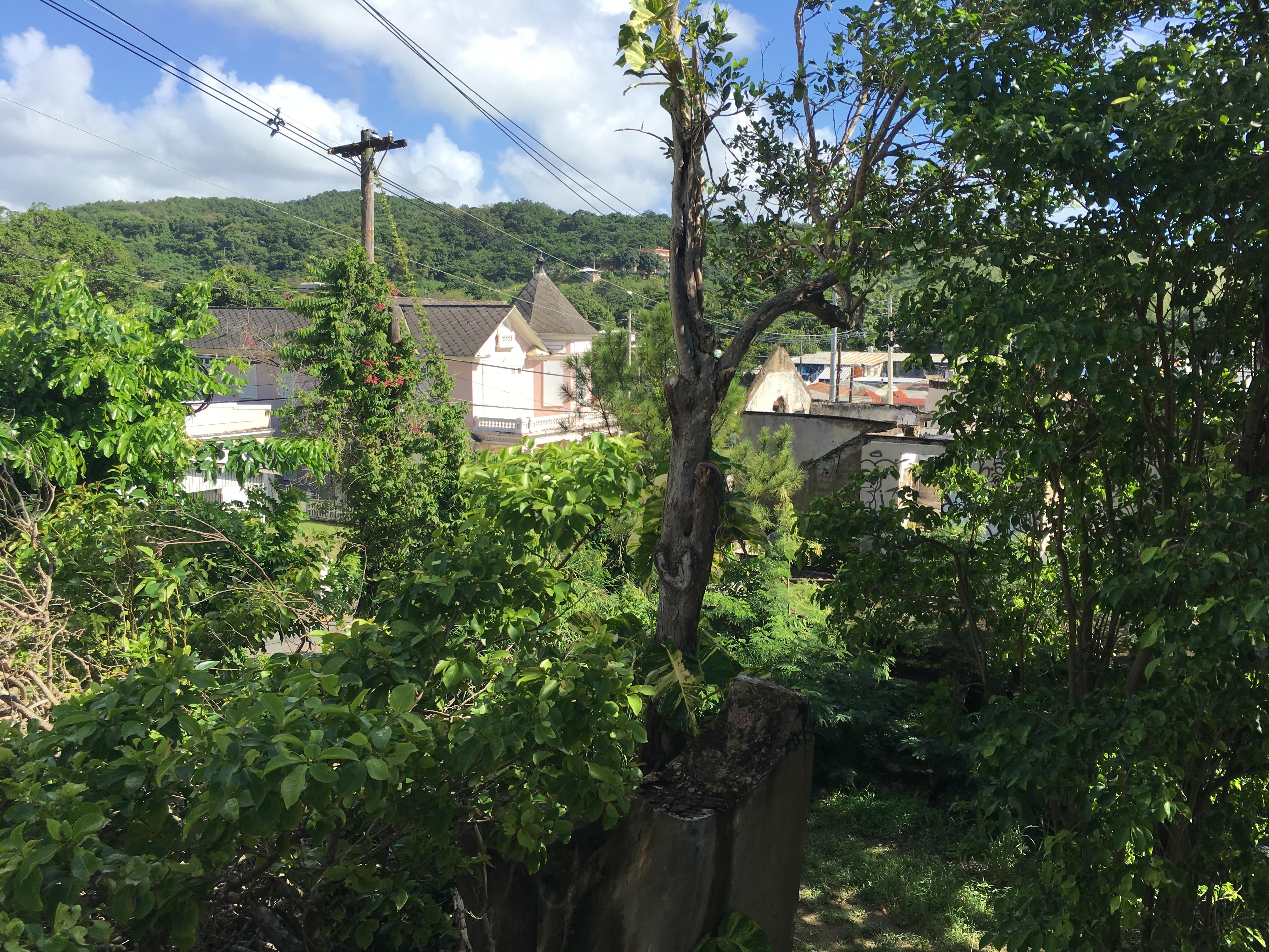 Residencia Dr. Chico - Naguabo - 2015 00021